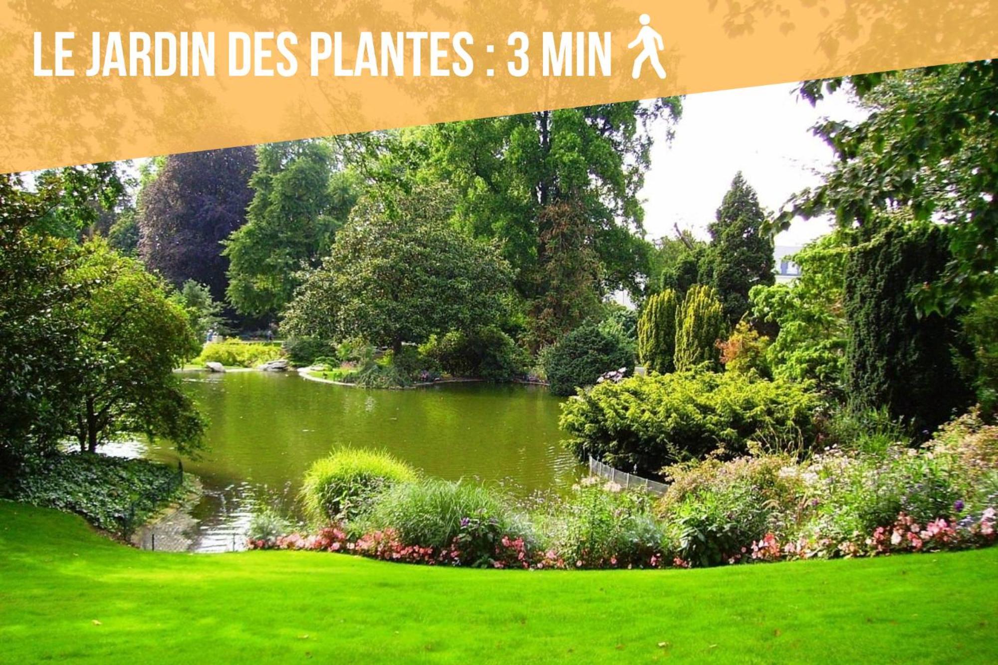 Appartement Coeur De Ville Angers Eksteriør billede